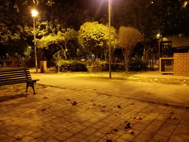 Urbano El Mechero Park