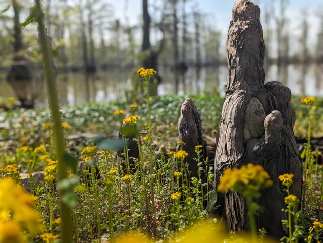 Horseshoe Lake Refuge