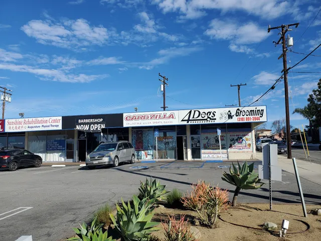 Cardzilla Collectibles