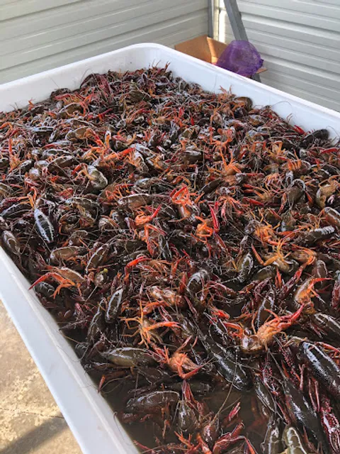 Lou's Crawfish