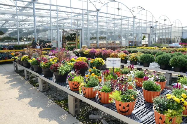 Big John's Farm Market & Greenhouses