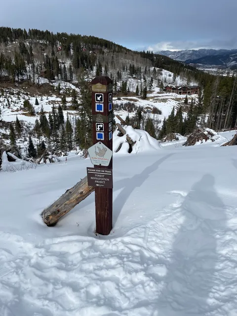 Cross Country Skiing