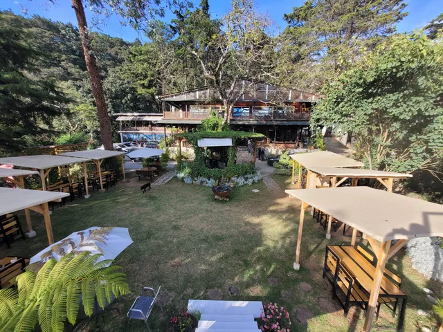 The Choice [더 초이스]