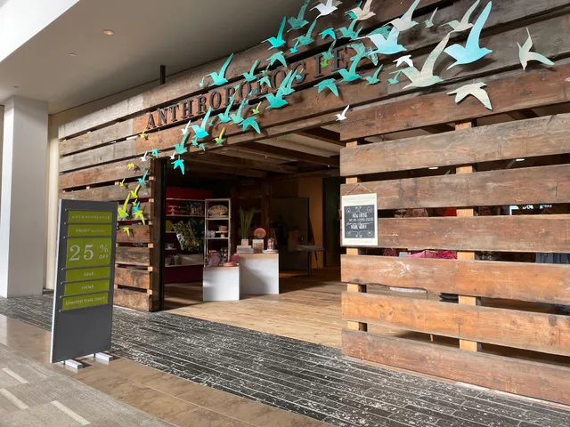 Anthropologie