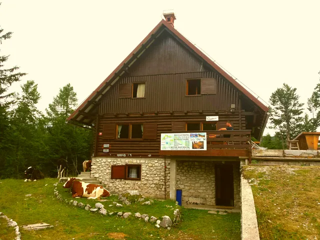 Vogel - Chalet Zala