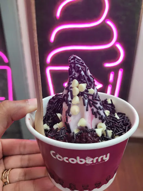 Cocoberry - Premium Frozen Yogurt