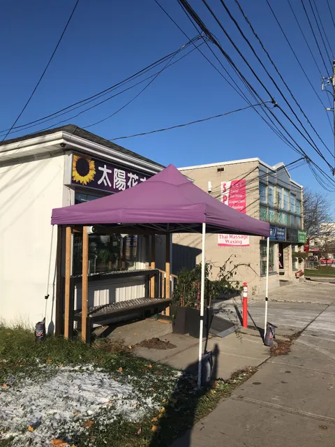 Sunflower and Gifts Inc.