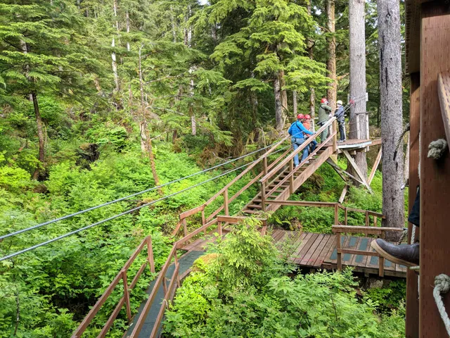 Alaska Canopy Adventures