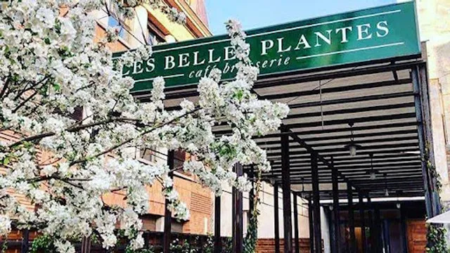 Les Belles Plantes