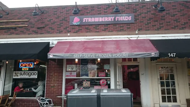 Strawberry Fields Frozen Yogurt Maplewood