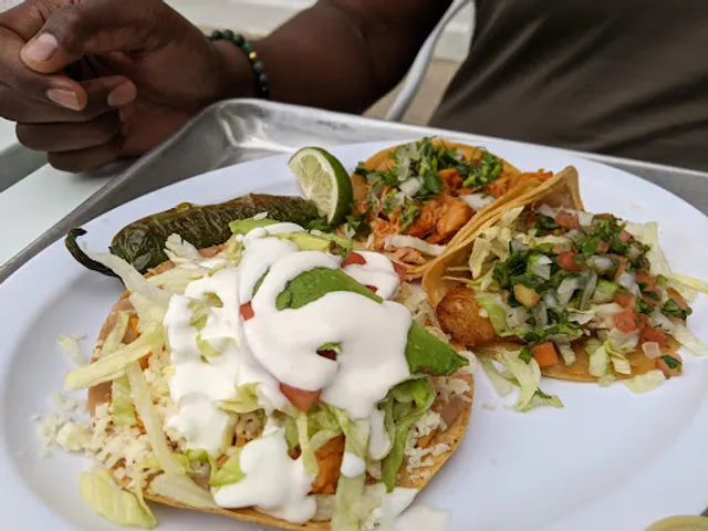 Cilantro Taco Grill- Lincoln Park