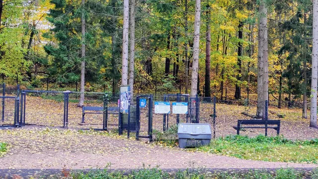 Ridvägens hundgård