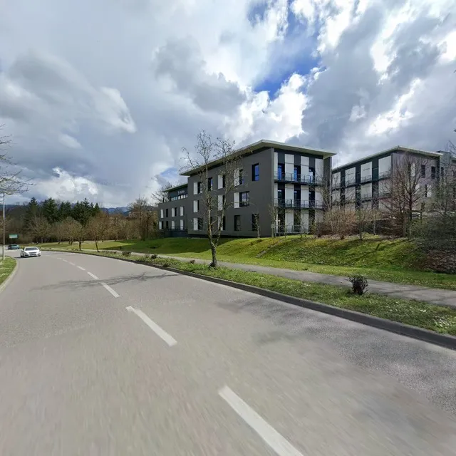 Alpine Lodges - Siège social