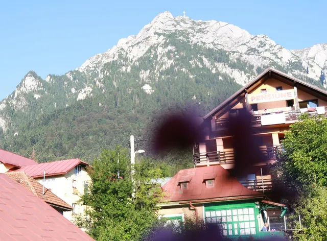 Casa CĂLDURA Rodica strada Caraiman,nr.21