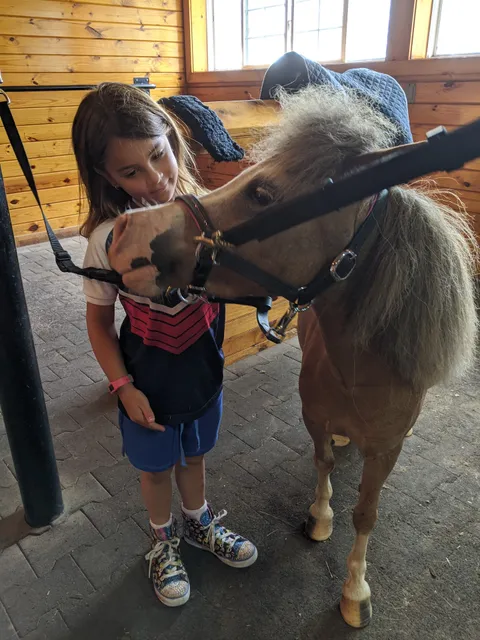 Dreamweaver Equine Center