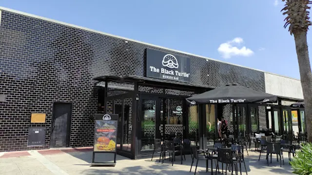 The Black Turtle - Bonaire