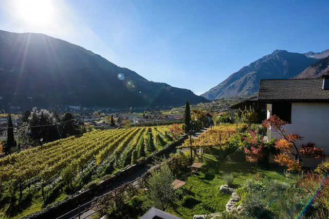Ferienwohnungen Unterdornerhof