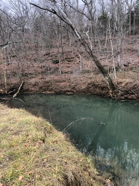 Roundstone Native Seed