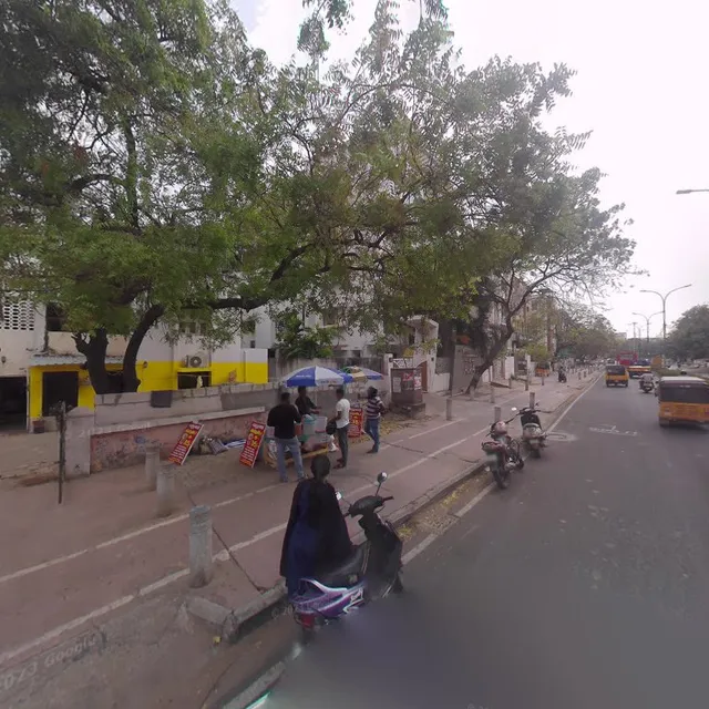 Colive Sanjana Emerald PG