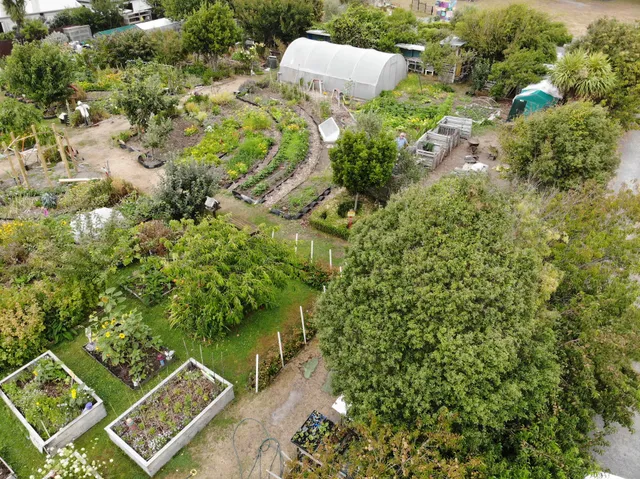 New Brighton Community Gardens