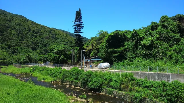 Hong Kong Agricultural Tai Po Lam Tsuen Organic Farm