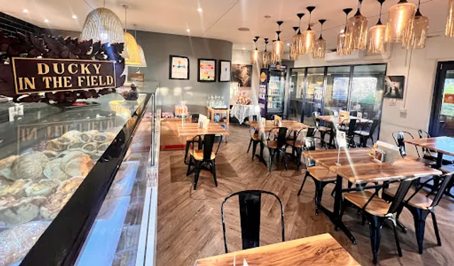 Ducky In The Field Cafe