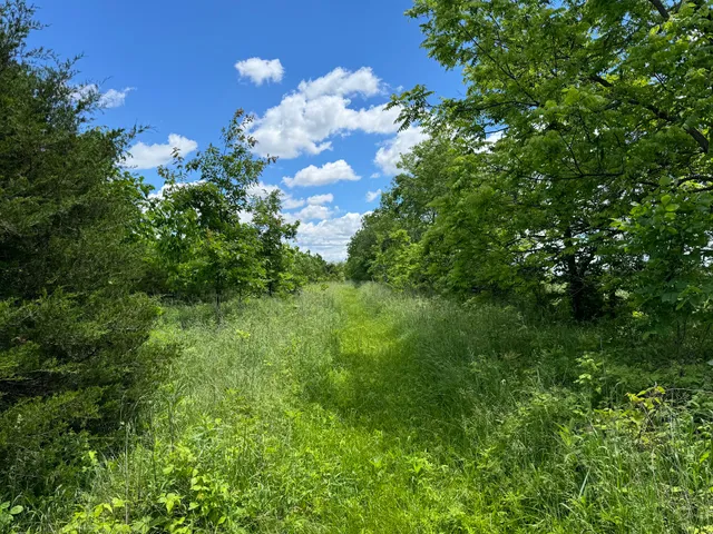 Big Walnut Nature Preserve - Rayfield Trail