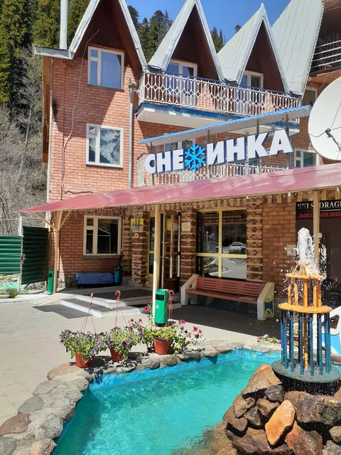 Snezhinka