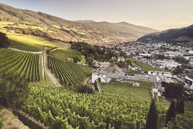 Haller Suites & AO Restaurant