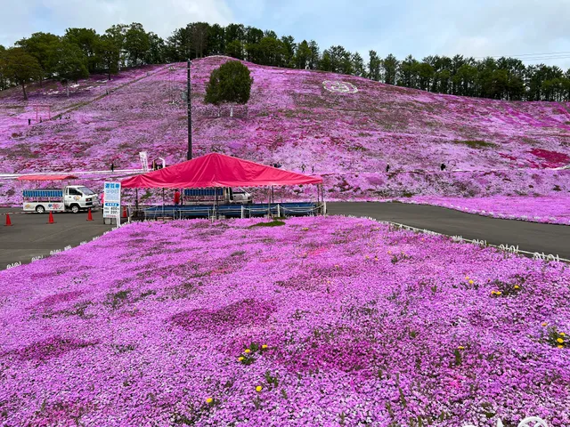 ひがしもこと芝桜公園 展望台