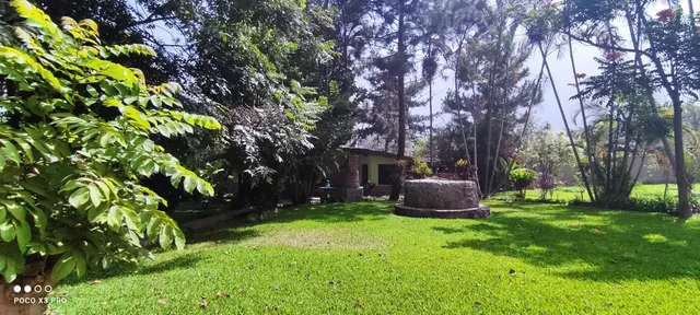 Santa Eulalia BUNGALOWS