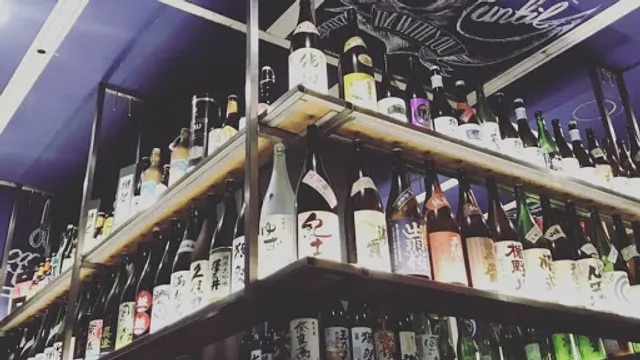 Cats love to eat seafood barbecue shop