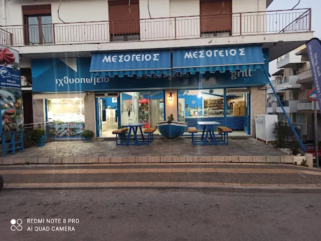 Mesogeios Igoumenitsa