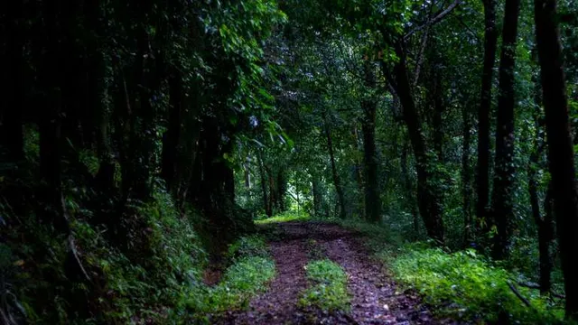 Shinrin Farm Stay - Aysha Farm