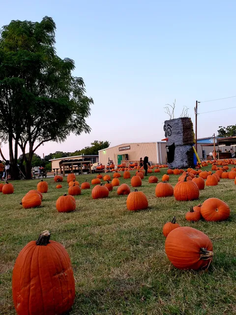 PTC Pumpkin Patch