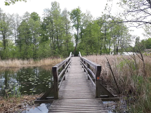 Pėsčiųjų tiltas į prieplauką