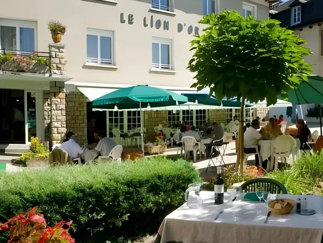 Hotel _ le Lion d'Or