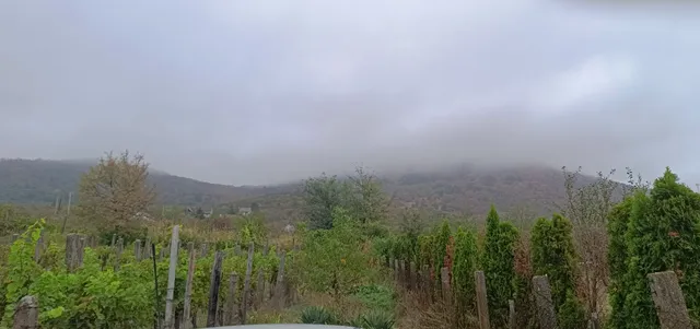 Relax Island Vendégház