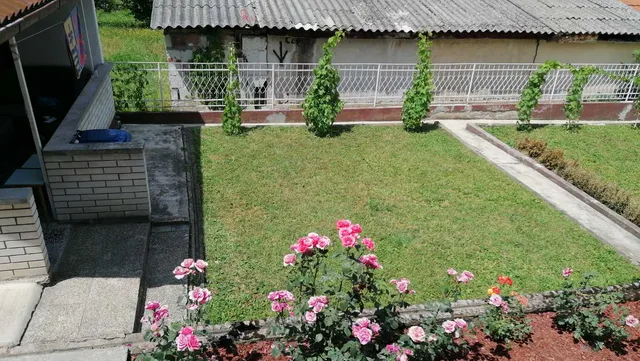 Apartmani Rajkovic Buba