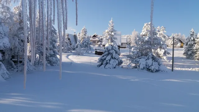 Apartments Narcis Polje Divčibare