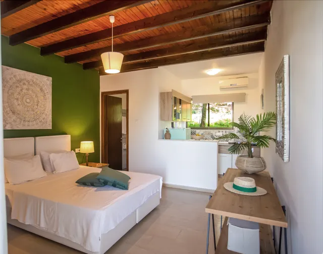 Ionian Kaizer Studios & Lofts