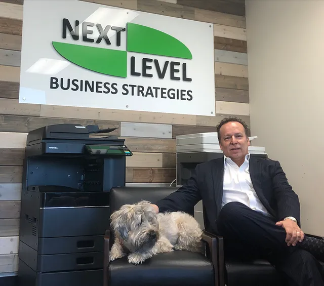 Next Level Business Strategies