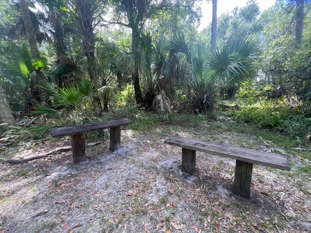 Citrus Hammock Preserve