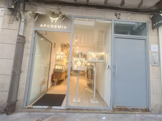Joyería Apodemia a Coruña - Calle Real 42