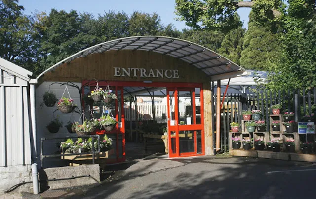 Mulberry & Thyme Winchester