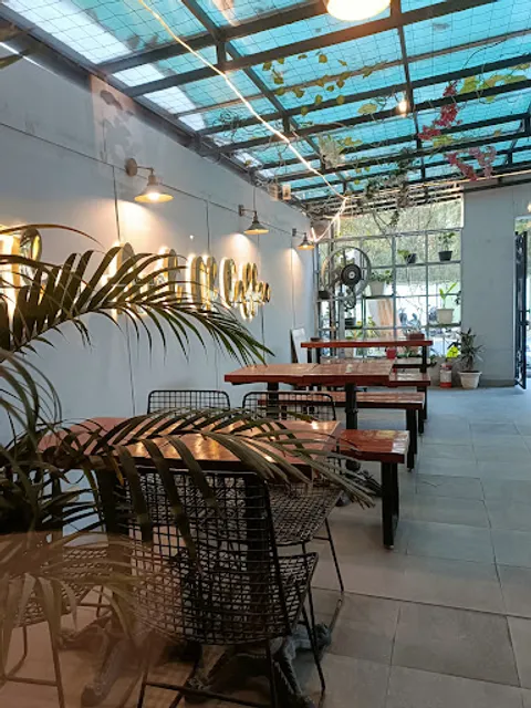 Barista - C Scheme Jaipur