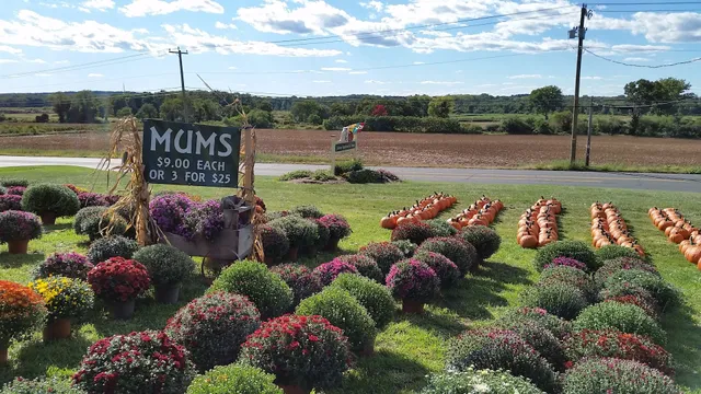 Johnny Appleseed's Farm