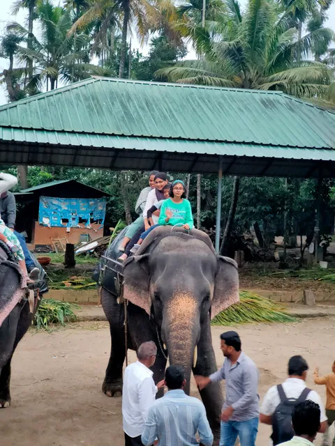 Olivia Homestay Idukki