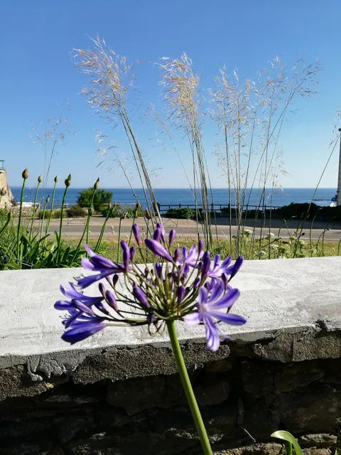 La terrasse de Castel location bord de mer Le Pouldu Bretagne