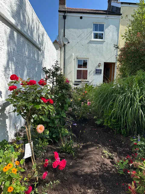 Komorebi Mind Healing